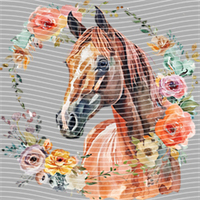 Animal Integration-DW 389